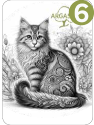 Chats Tatoo