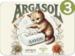 Chats tradi